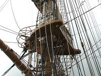 Amerigo Vespucci