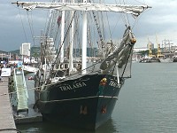 Thalassa