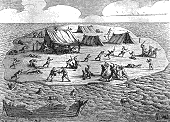 Massacre sur Seal Island