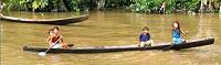 Pirogue de l'Amazone
