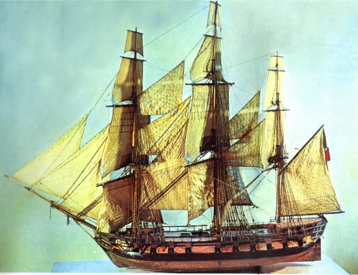 MANDRAGORE II Encyclopédie de la mer