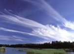 Cirrus