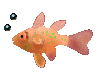 poisson