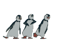 dancing pingoin