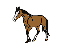 cheval