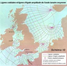 Lignes cotidales et lignes d'gale amplitude