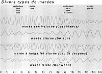 Divers types de mare
