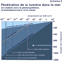Pntration de la lumire dans la mer