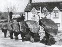 Hommes-tortues