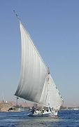Felouque gyptienne