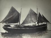 Harenguier