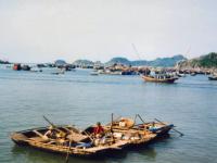 Bateau-panier