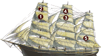 Positions des perroquets