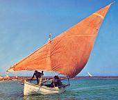 Voile latine