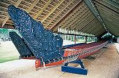 Waka taua