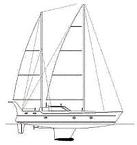 Hyppocampus45