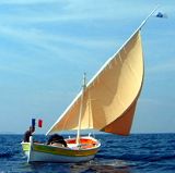 Pointu varois